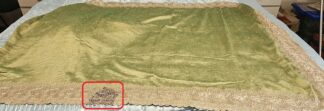 Fancy Saree #SIH 032 (Pastel Green) - DAMAGED